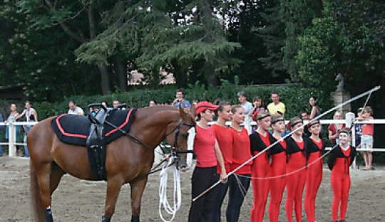 Cours Equitation et Voltige