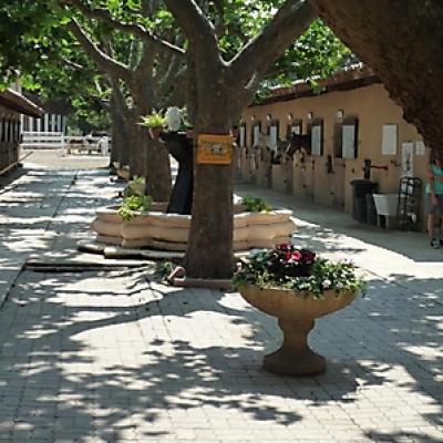 Le Centre 20100707 1882144103