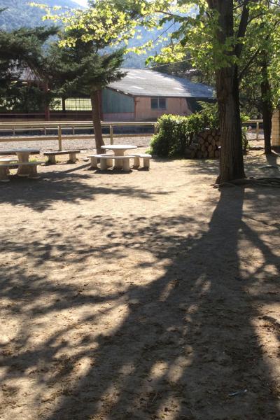 Photo4