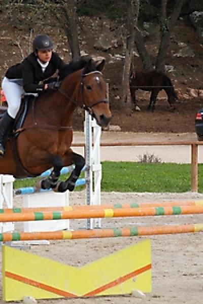 Les Concours 20121015 1463922786