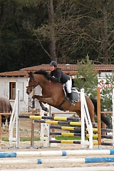 Les Concours 20121016 1437524752