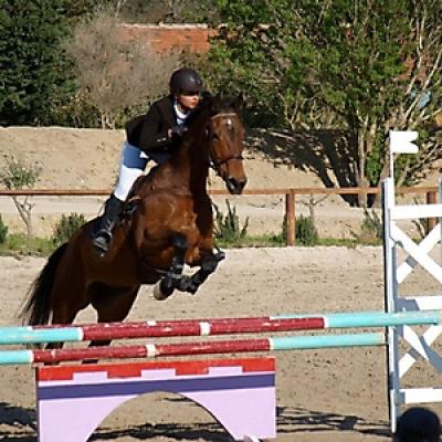 Les Concours 20121016 1803809297